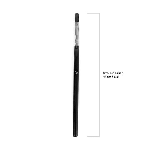 oval lip brush with dimensions on a white canva